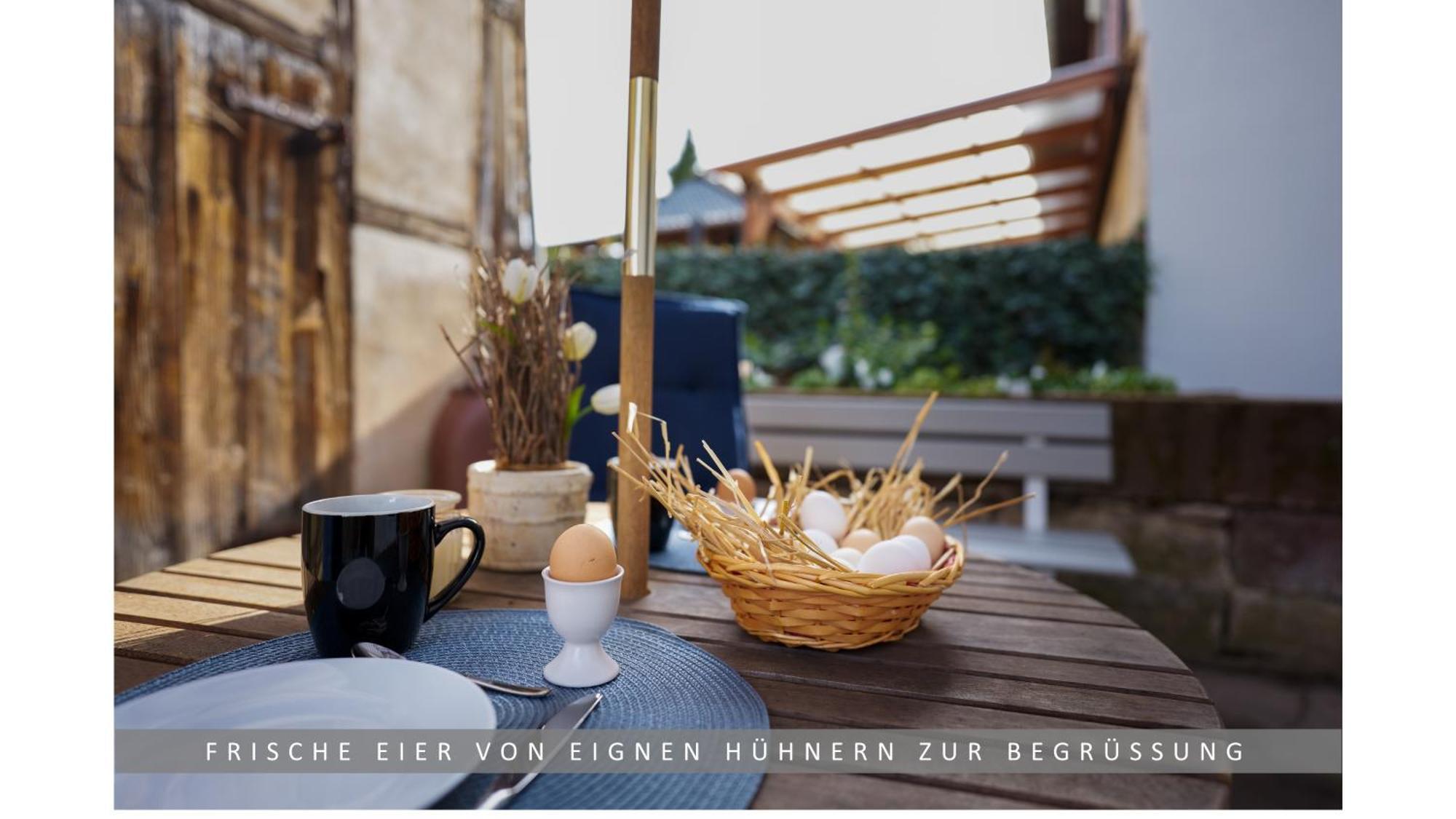 Apartment Leinetal Mit Kamin, Seenaehe, Terrasse *